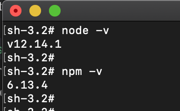node-version-pic